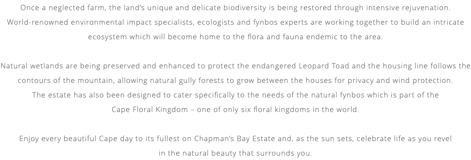 Once a neglected farm, the land’s unique and delicate biodiversity is being restored through intensive rejuvenation. World-renowned environmental impact specialists, ecologists and fynbos experts are working together to build an intricate ecosystem which will become home to the flora and fauna endemic to the area. Natural wetlands are being preserved and enhanced to protect the endangered Leopard Toad and the housing line follows the contours of the mountain, allowing natural gully forests to grow between the houses for privacy and wind protection.  The estate has also been designed to cater specifically to the needs of the natural fynbos which is part of the  Cape Floral Kingdom – one of only six floral kingdoms in the world. Enjoy every beautiful Cape day to its fullest on Chapman’s Bay Estate and, as the sun sets, celebrate life as you revel  in the natural beauty that surrounds you.